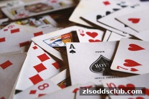 尊龙凯时平台签到福利与积分兑换全指南