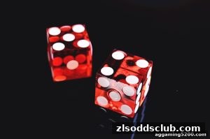 AG真人 zlsoddsclub